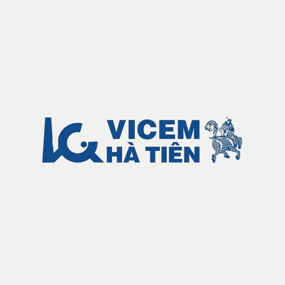 Vicem